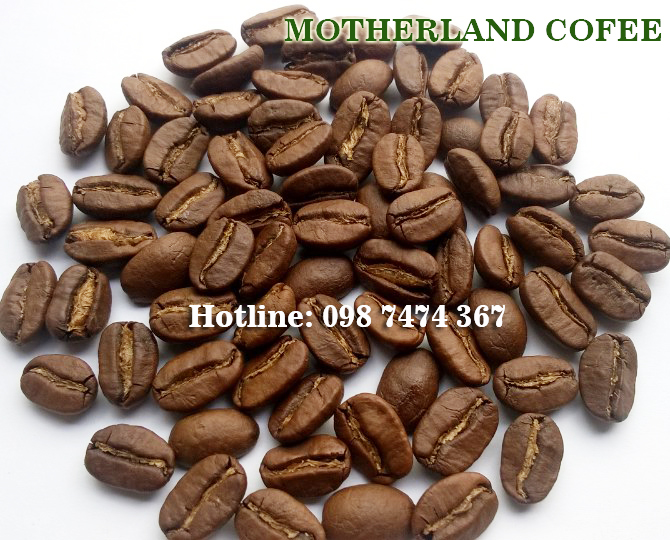 Cà phê arabica Cầu Đất Đà Lạt rang mộc gói 500g hạt rang