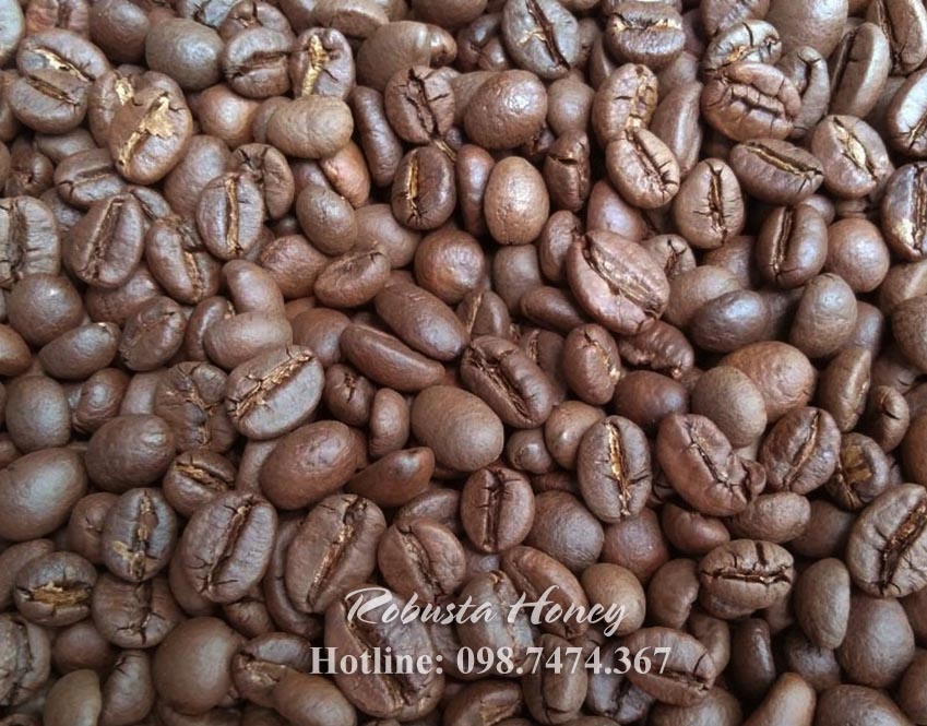 cà phê robusta honey loại 1 sàn 16