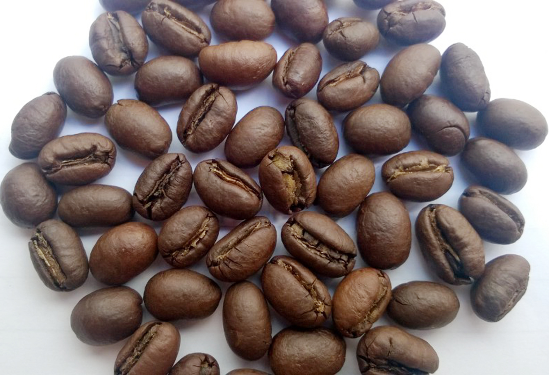 cà phê culi được tách ra từ cà phê robusta