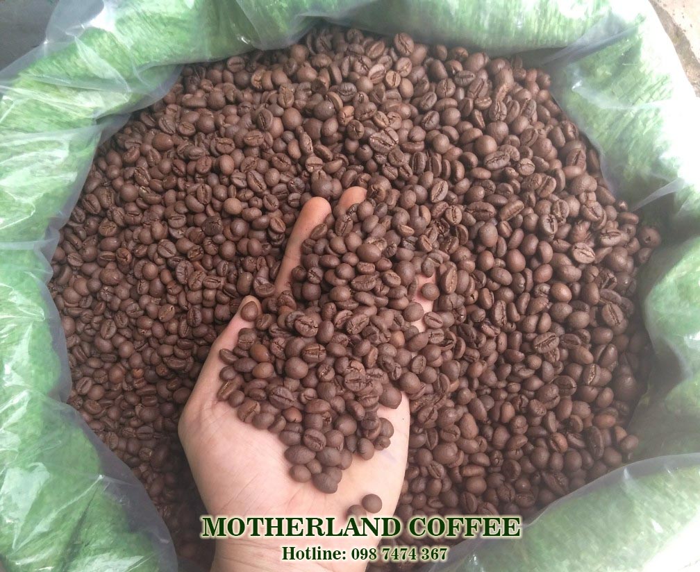 cà phê hạt robusta rang mộc pha máy espresso ngon