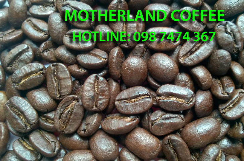 giá cà phê espresso loại 1 - motherland coffee