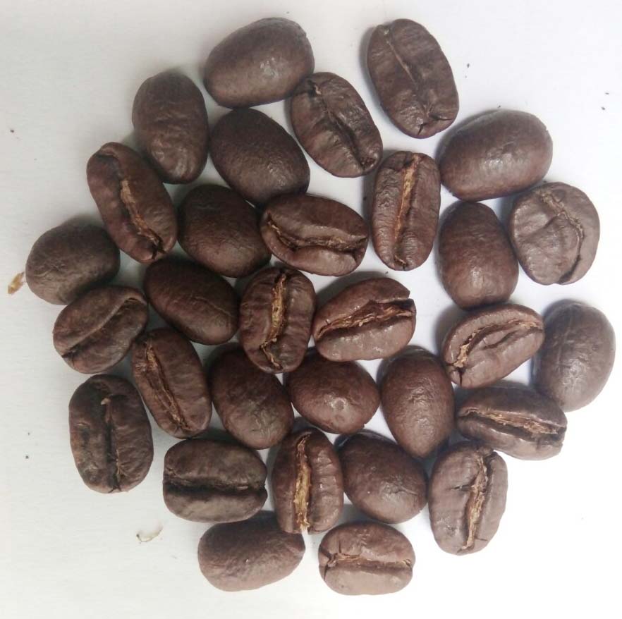 cung cấp cà phê hạt rang xay nguyên chất