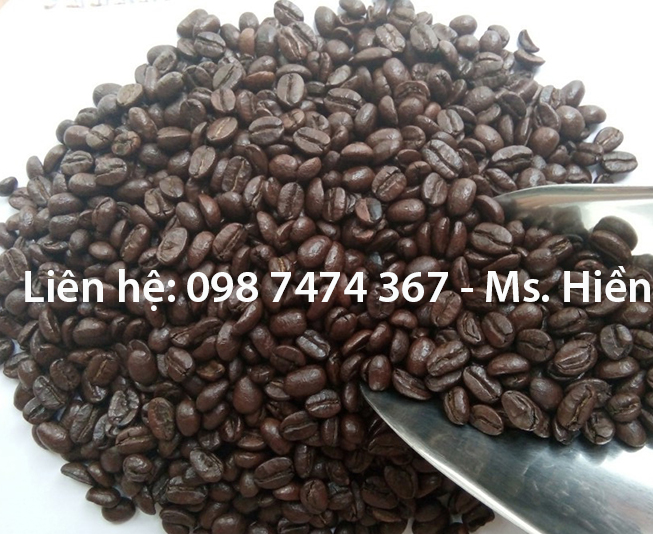 bảng giá cà phê hạt nguyên chất motherland