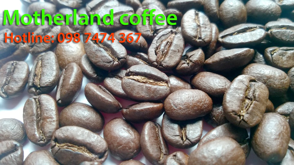 cà phê arabica giá sỉ lẻ đáp ứng đa dạng khẩu vị người dùng