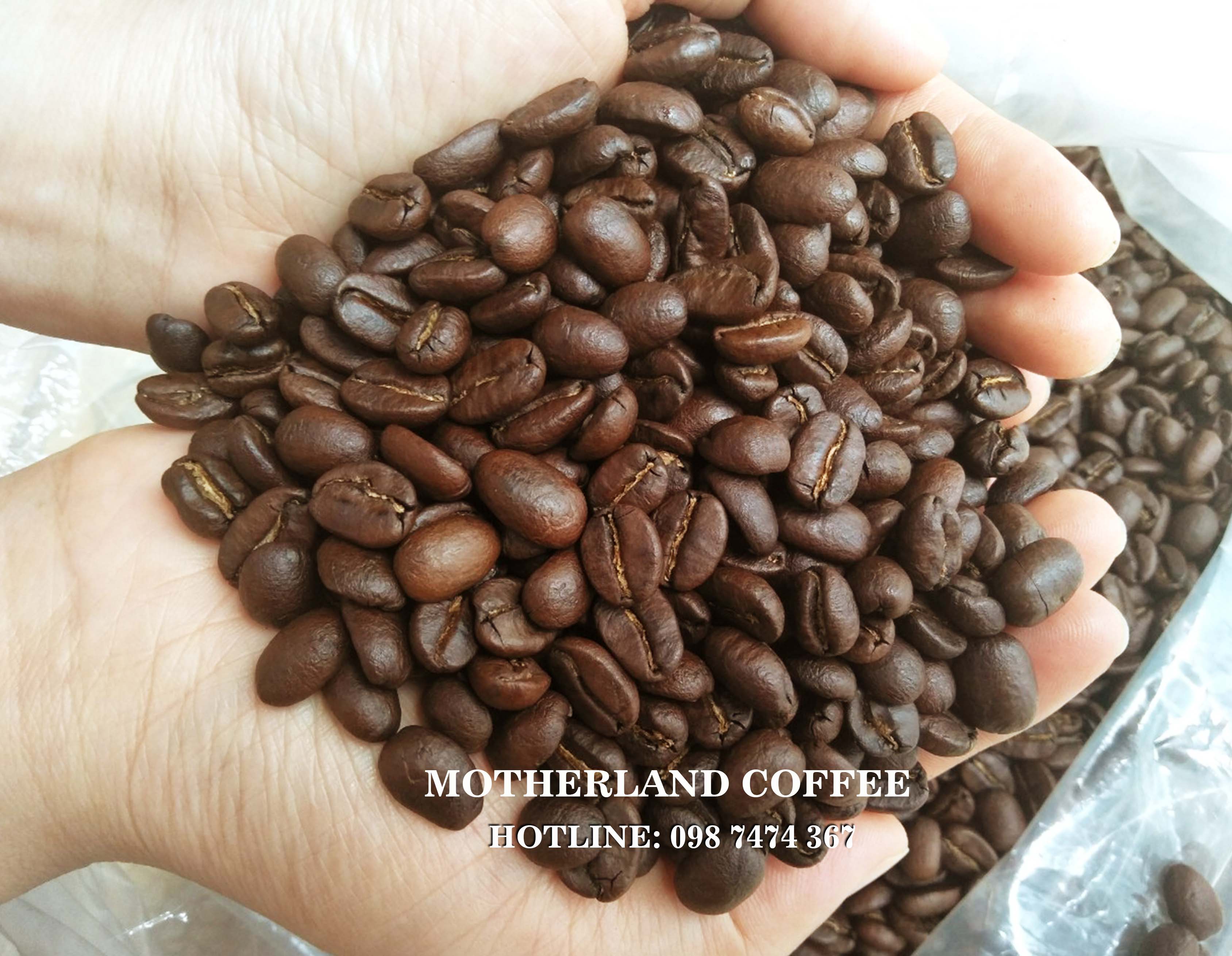 Cà phê espresso Motherland hạt pha máy gói 500g