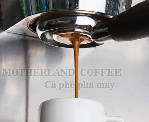 cà phê espresso motherland hạt pha máy gói 500g bmt
