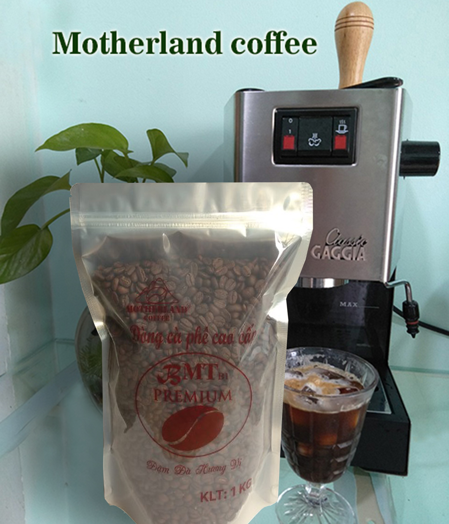 cà phê hạt pha máy motherland gói 1kg
