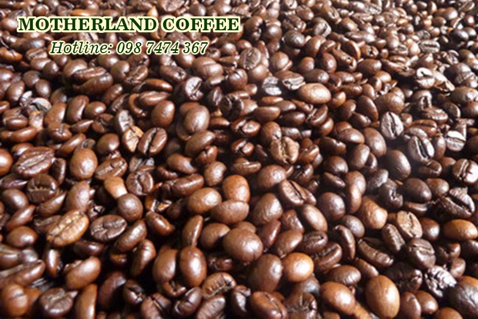 cà phê hạt robusta rang mộc rang bơ giá rẻ nguyên chất cho quán