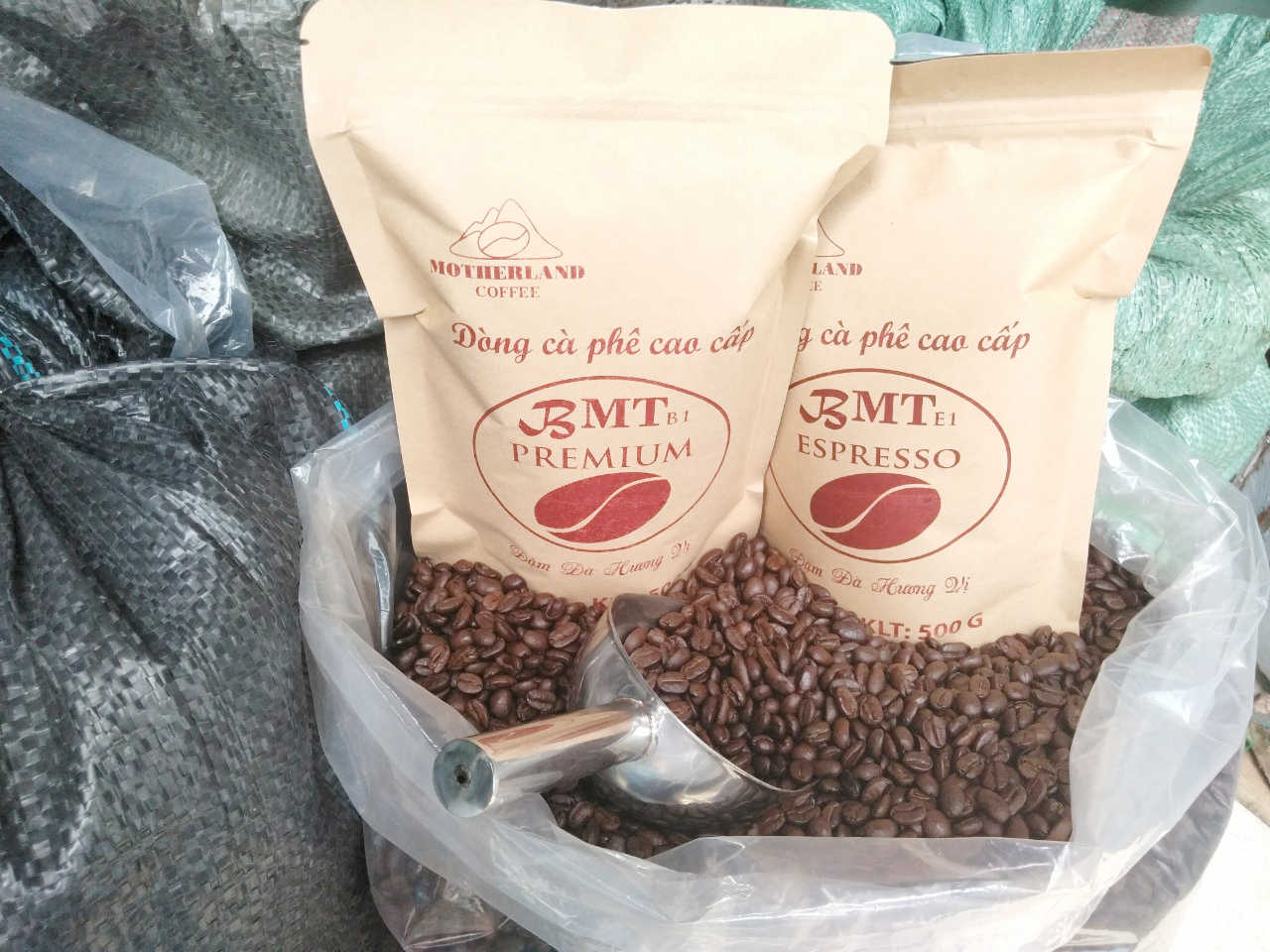cà phê hạt robusta và arabica motherland loại 1 sàn 18 giá sỉ