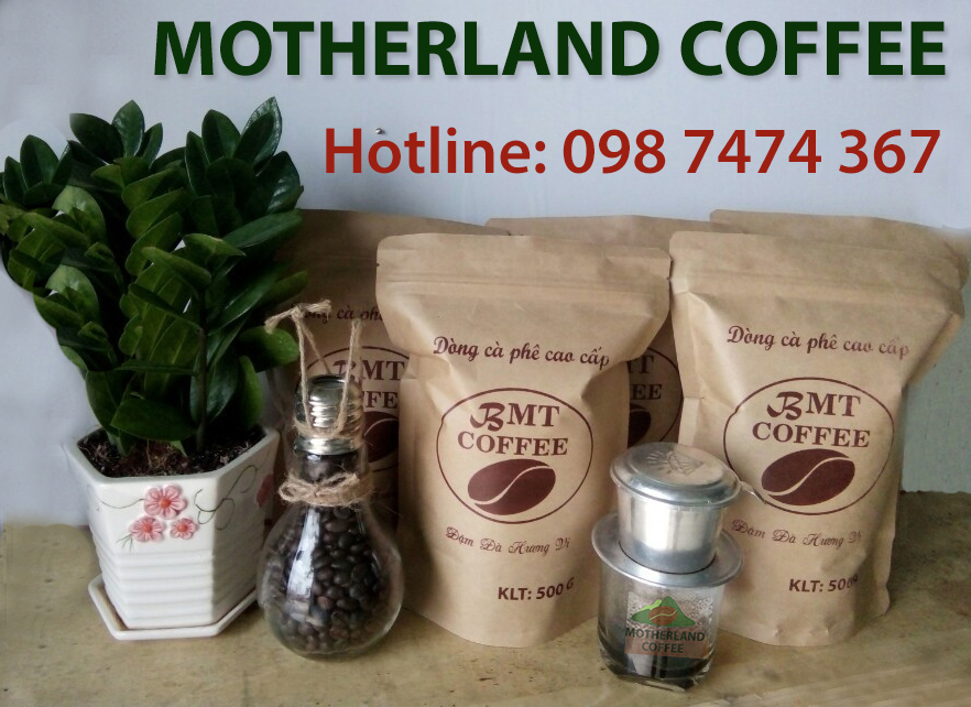 cà phê rang mộc giá sĩ motherland cafe