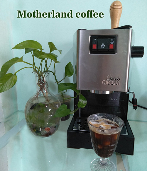 cà phê robusta là gì mà quán cafe tiêu thụ rất mạnh