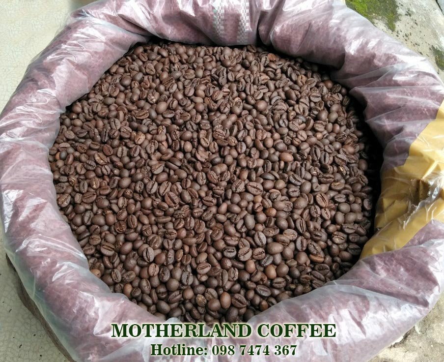 cà phê robusta honey rang mộc sàn 18 motherland