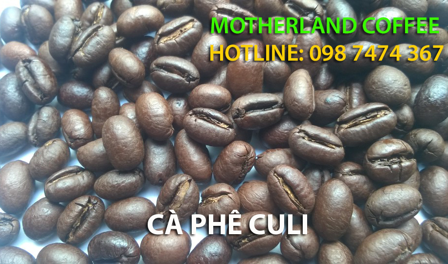 cafe culi giá bao nhiêu motherland coffee