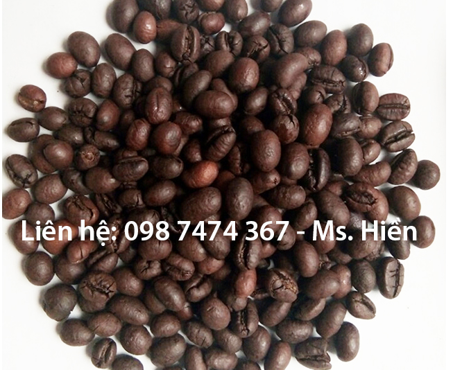 cung cấp bỏ sỉ cà phê hạt robusta, arabica, moka, culi  loại 1 sàn 18 tại tphcm