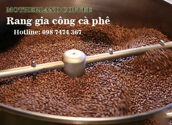cung cấp cà phê arabica cầu đất lâm đồng rang mộc sàn 18 giá sỉ và rang gia công