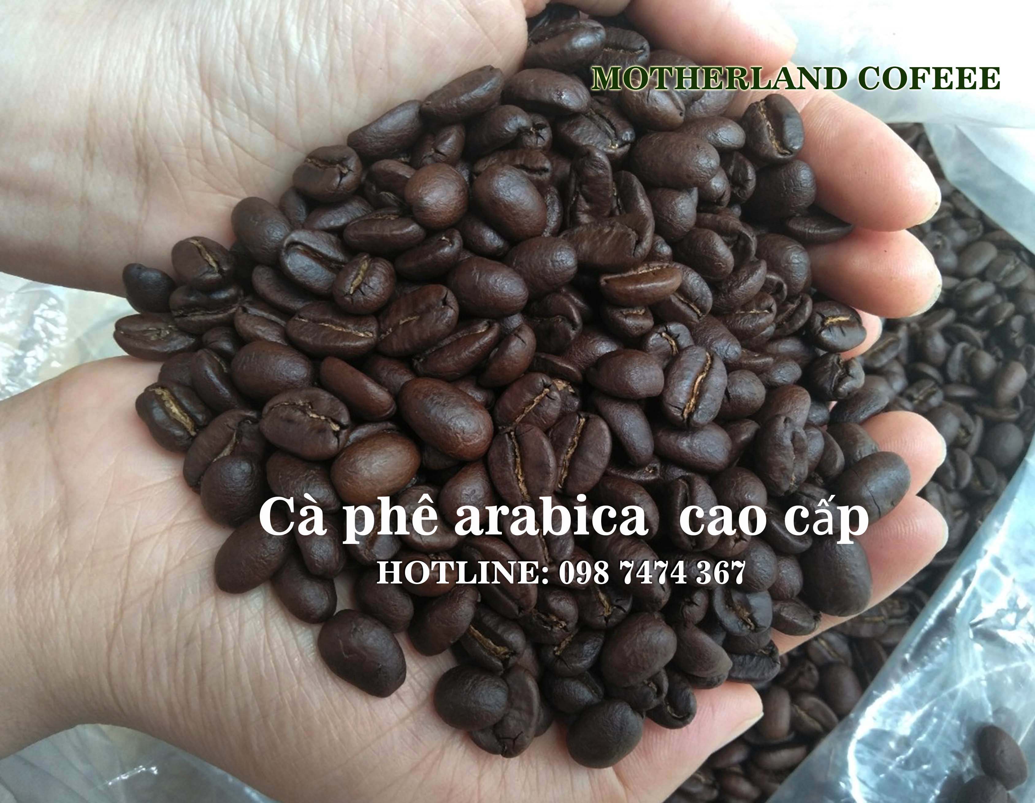 cà phê arabica Cầu Đất Đà Lạt hạt rang đậm sàn 18