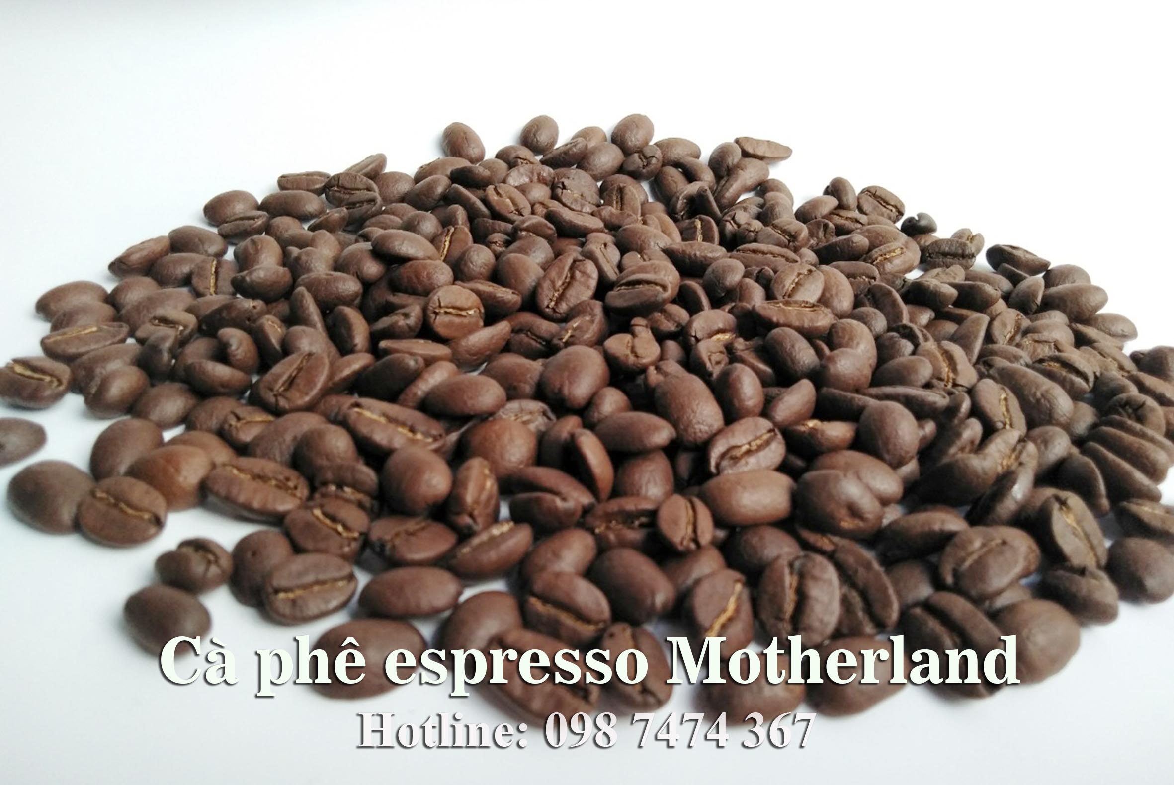 cung cấp cà phê espresso giá sỉ cho quán loại 1 gu tây và gu việt