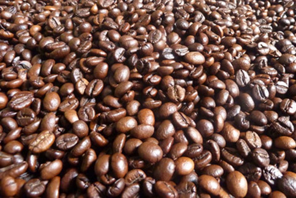 dòng cà phê hạt robusta rang bơ giá sỉ cho quán và đại lý