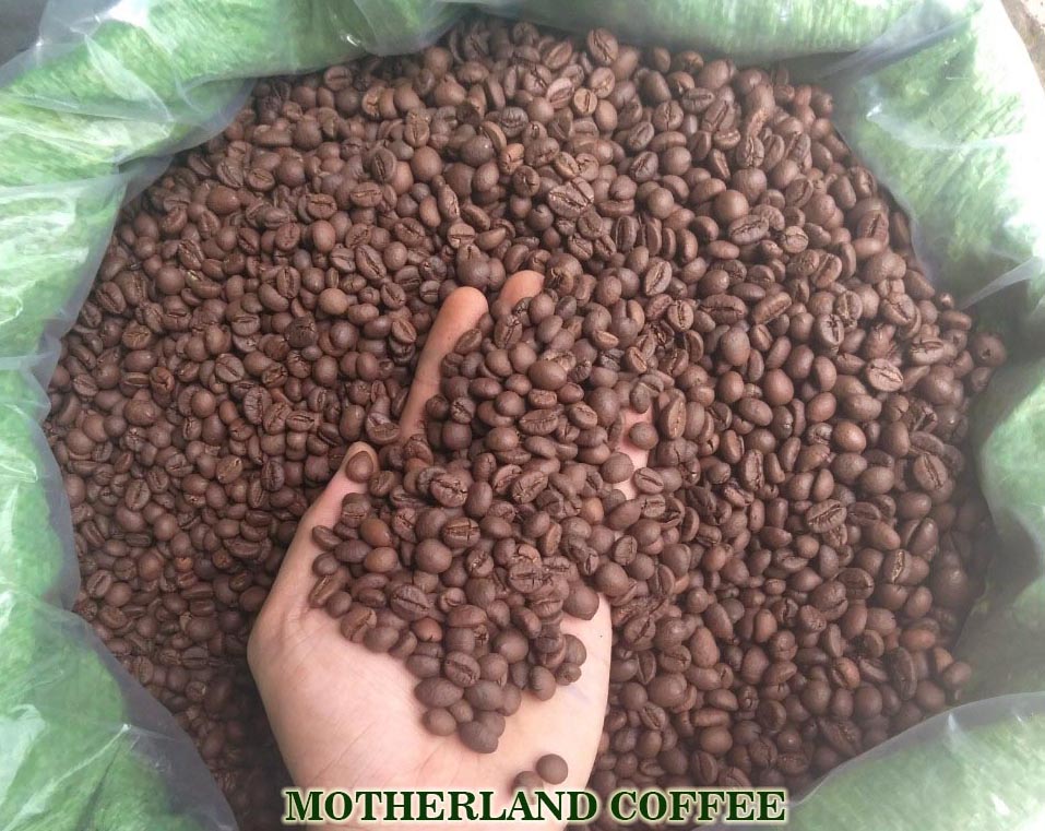 giá cà phê nguyên chất 1kg bao nhiêu tiền cafe hạt rang motherland