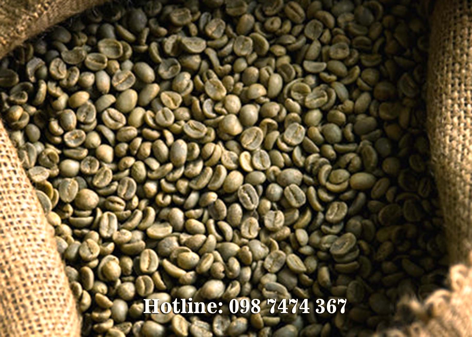 nhận rang gia công cà phê nhân robusta giá rẻ