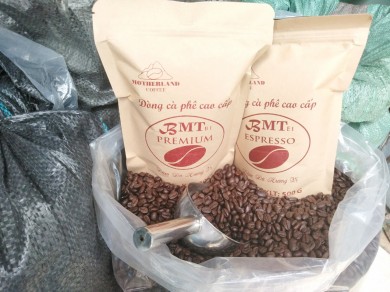 CUNG CẤP CAFE ARABICA CẦU ĐẤT GIÁ SỈ - MOTHERLAND COFFEE