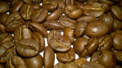 CUNG CẤP CAFE GIÁ SỈ - MOTHERLAND COFFEE