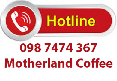 Số điện thoại của motherland coffee
